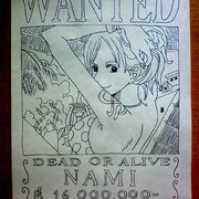 悬赏令 Nami